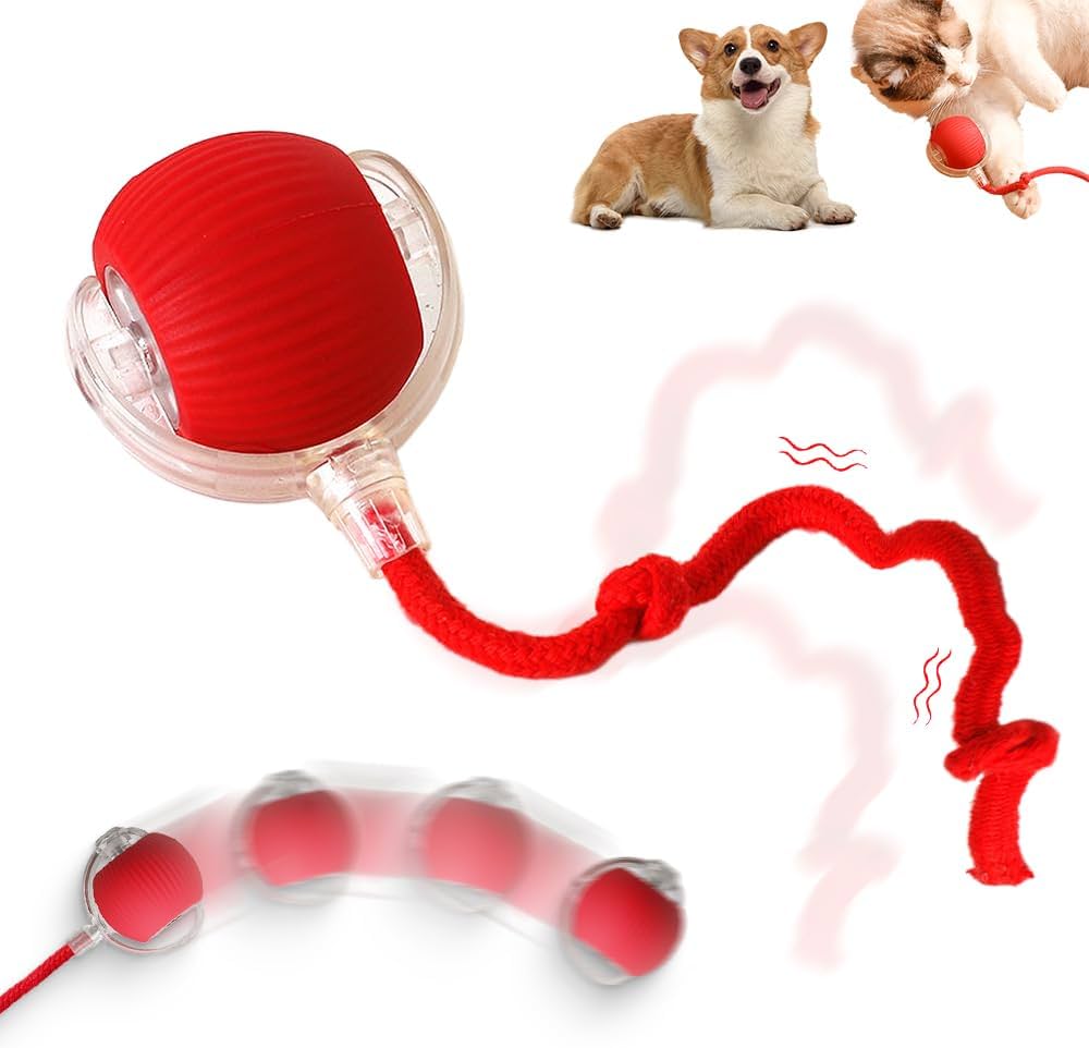 Interactive Pet Rolling Ball