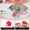Interactive Pet Rolling Ball