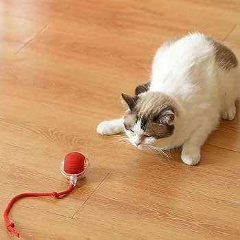 Interactive Pet Rolling Ball