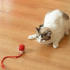 Interactive Pet Rolling Ball