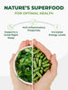 Moringa Leaf Powder