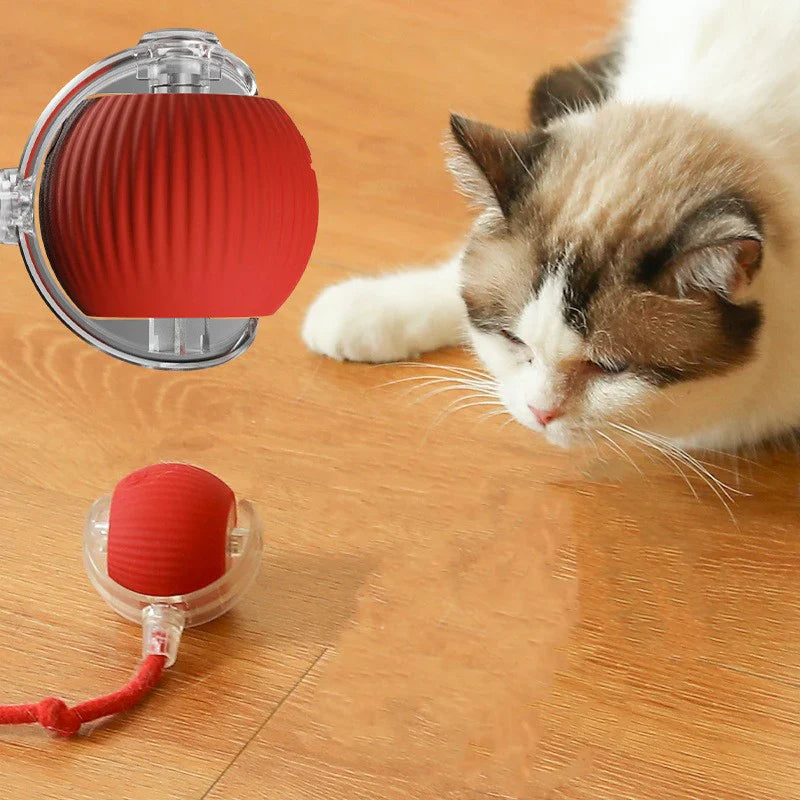 Interactive Pet Rolling Ball