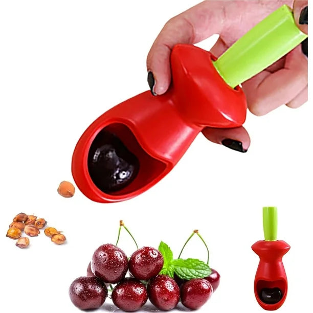 Fruit Seed Remover Press