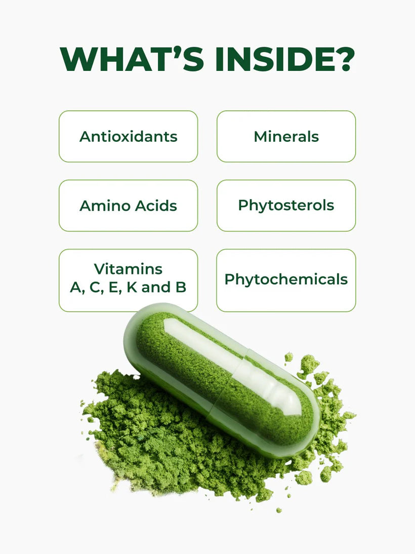 Moringa Leaf Powder مسحوق أوراق المورينجا
