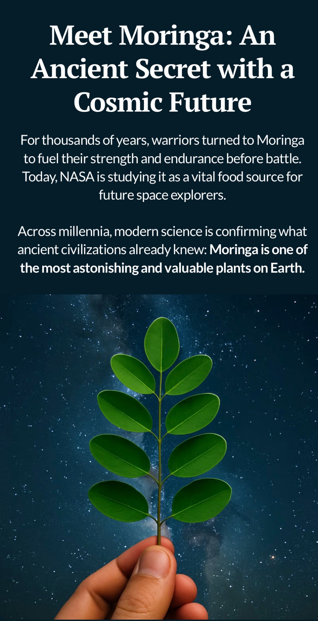 Moringa Leaf Powder