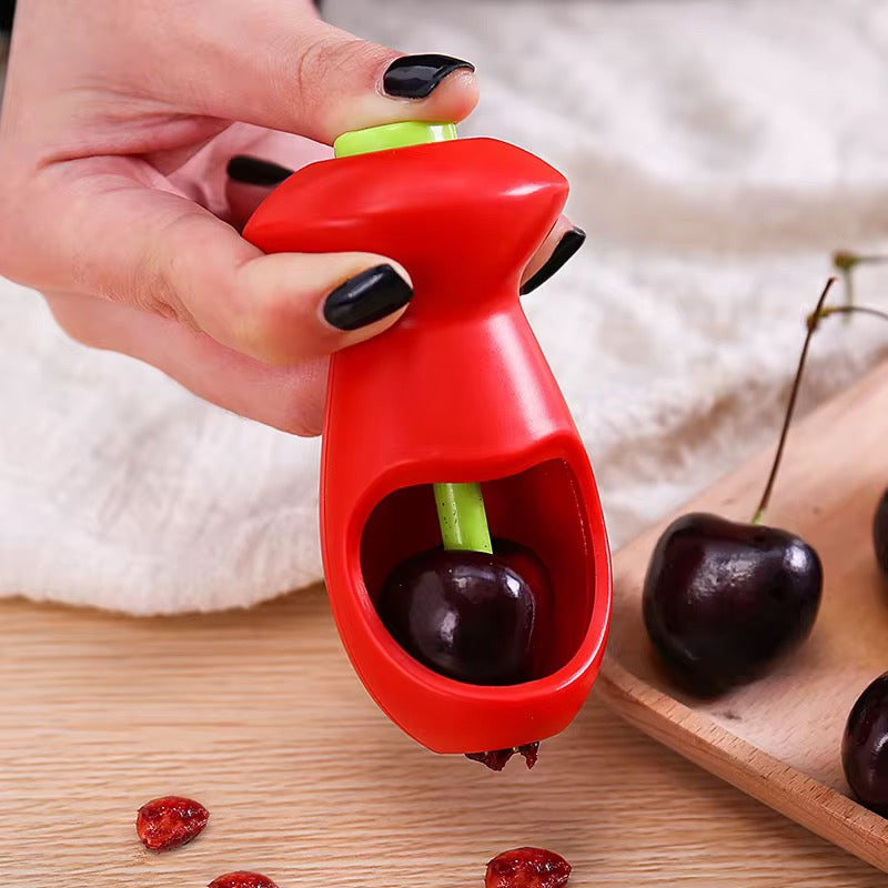 Fruit Seed Remover Press