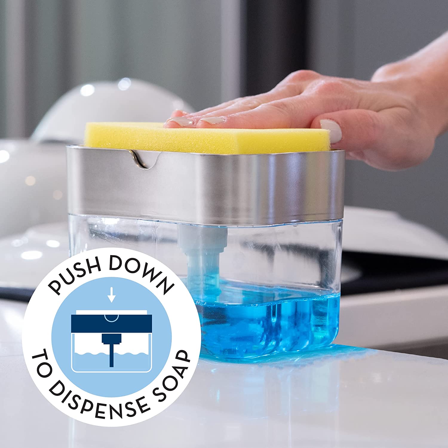 Sponge Soap Dispenser