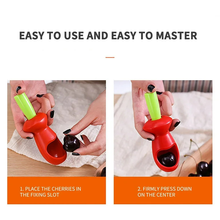 Fruit Seed Remover Press